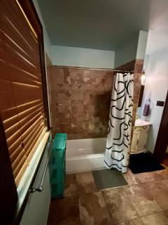 Great central location downtown Austin-Fenced area for dogs, near UT - Austin - 1