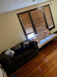 Great central location downtown Austin-Fenced area for dogs, near UT - Austin - 3