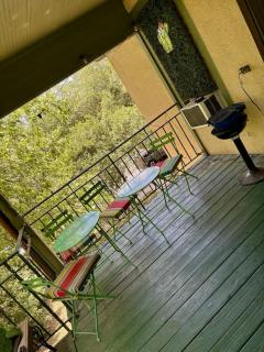 Great central location downtown Austin-Fenced area for dogs, near UT - Austin - 4