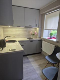 Jaudas Apartment - Madona - 0