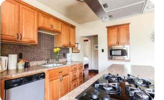 Great central location downtown Austin-Fenced area for dogs, near UT - Austin - 8