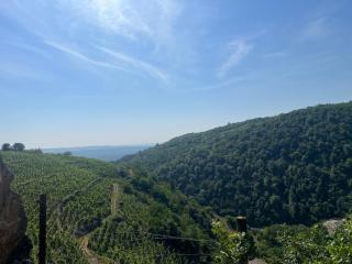 Au Cœur des Vignes - Malleval - 7