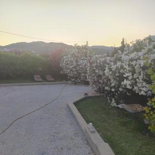 Rododafni Apartments - Kolymbari - 2