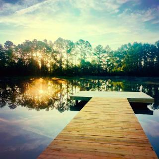 The Pond House on Rock Hill Farm - 9