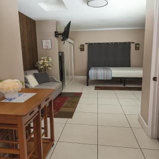 Green Castle Apartment in Tampa Near Airport and Busch Gardens - Tampa - 8