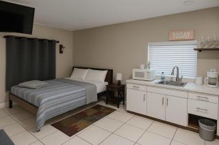 Green Castle Apartment in Tampa Near Airport and Busch Gardens - Tampa - 6