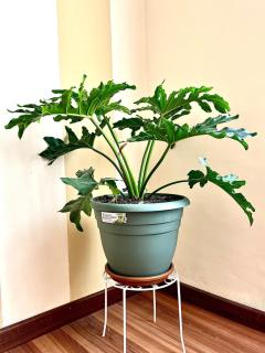 Urban Comfort Steps from Uniboyaca - 4