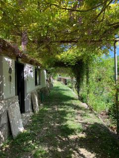 Tra Fiori e Antichità - Cerchiara - 0