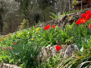 Tra Fiori e Antichità - Cerchiara - 8