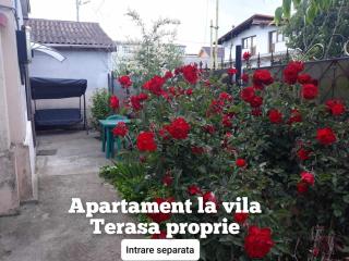 Apartament la vila Mangalia Oana - 9