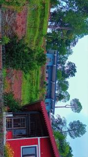 Ekant Stays - Almora - 9