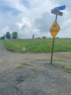 UndertheWillows by Towanda Sayre - Ulster - 9