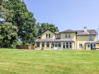 The Retreat at Glanrannell Park House - Llanwrda - 9