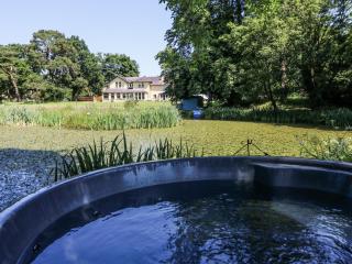 The Retreat at Glanrannell Park House - Llanwrda - 8