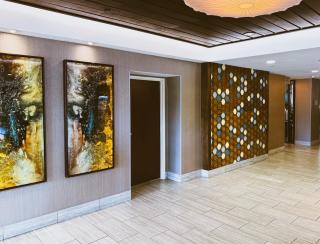 SpringHill Suites by Marriott Austin The Domain Area - Austin - 7