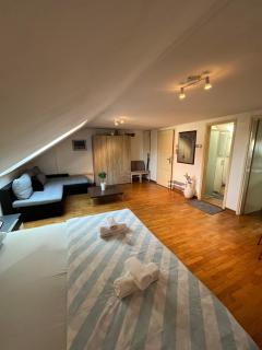 istanbul apartment 4 - Belgrado - 5