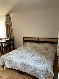 Homelike Apartments - Mukačevo - 3