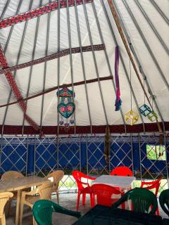 Kolsay Kazakh Yurts - Zhezdi - 6