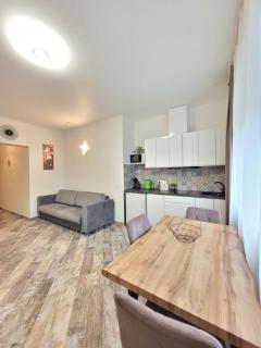 Giedres apartments-Alkava - Kaunas - 1