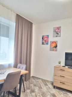 Giedres apartments-Alkava - Kaunas - 7