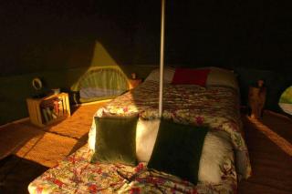Moleshill Retreat Wild Spa and Glamping space - Llanon - 9