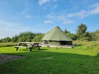 Moleshill Retreat Wild Spa and Glamping space - Llanon - 3