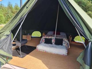 Moleshill Retreat Wild Spa and Glamping space - Llanon - 2