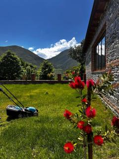 Nia's Farm - Librazhd - 4
