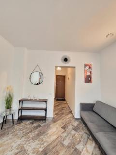 Giedres apartments-Alkava - Kaunas - 4