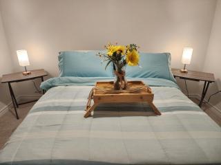 Stylish 1BR Apartment Near Downtown & Airport - San Antonio - 8