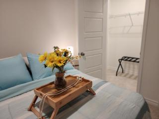 Stylish 1BR Apartment Near Downtown & Airport - San Antonio - 6