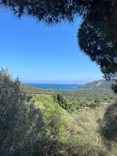Maison corse au calme - Porto-Vecchio - 7