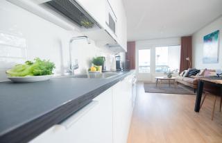 Rahulihomes, Sauna, 2toilets, Best location on Jyväskylä, 65 TV, balcony, Free parking, 6min to City, Paviljonki 1min - 7