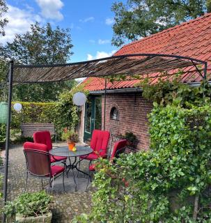 Landelijk gelegen Huisje op erf - Veeningen - 8