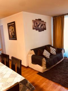 Moderno Apartamento Full Equipado Santiago Centro - Santiago - 9