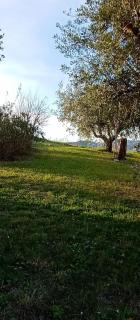 La Nuvola - Ripaberarda - 7