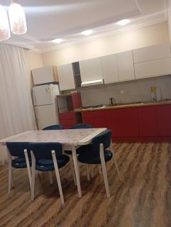 Super mountain view Villa - Gabala - 4