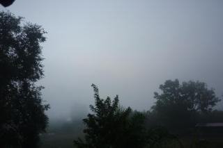 Maneemudjalin Resorts Farm Stay - 5