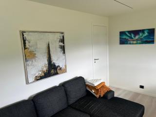 New Modern Apartment in Senja - - 9