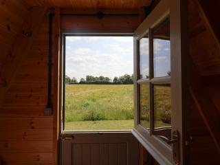 Oak Tree - Woodbridge - 8