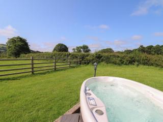 Bwthyn Bach Brefi - Tregaron - 9