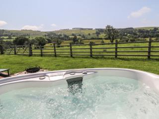 Bwthyn Bach Brefi - Tregaron - 8