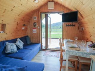 Bwthyn Bach Brefi - Tregaron - 5