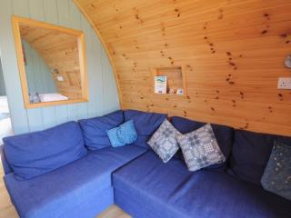 Bwthyn Bach Brefi - Tregaron - 4
