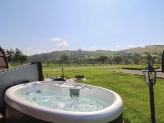 Ty Twt Teifi - Tregaron - 9