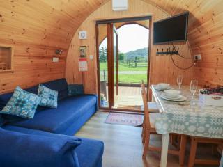 Ty Twt Teifi - Tregaron - 1