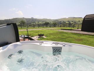 Ty Twt Teifi - Tregaron - 8