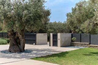Casa MiRa Lesvos - Pyrgi Thermis - 1
