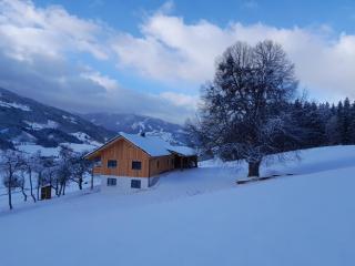 Naturchalet Forster - 4