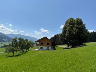 Naturchalet Forster - 8